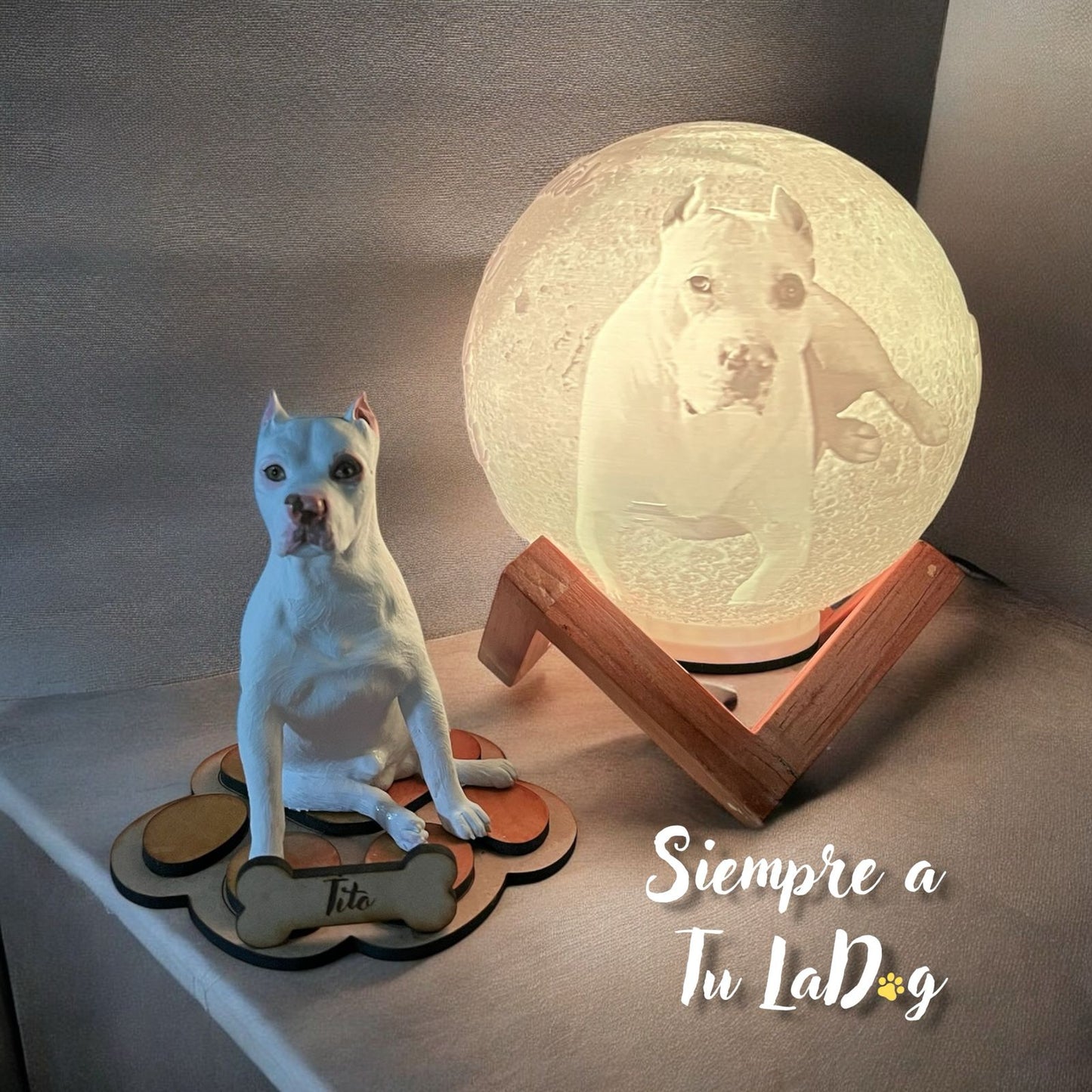 Réplica de Mascota - Mascota + Lampara