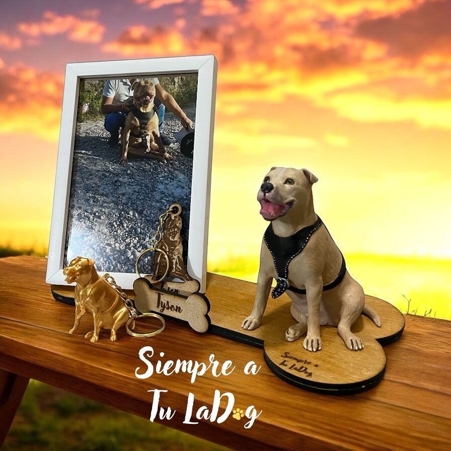 Paquete 2 - Réplicas de Mascotas