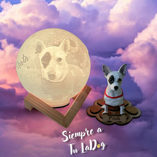 Réplica de Mascota - Mascota + Lampara