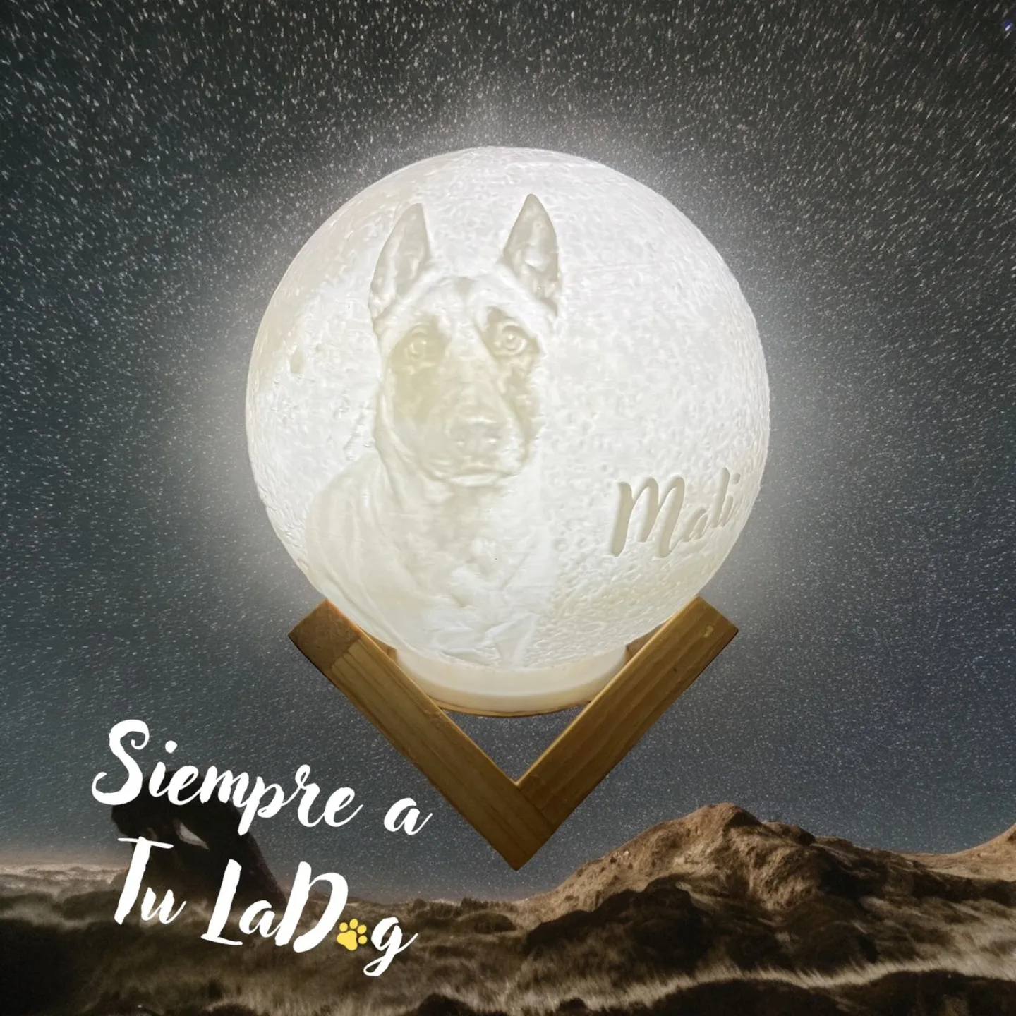 Lampara Lunar de Mascota