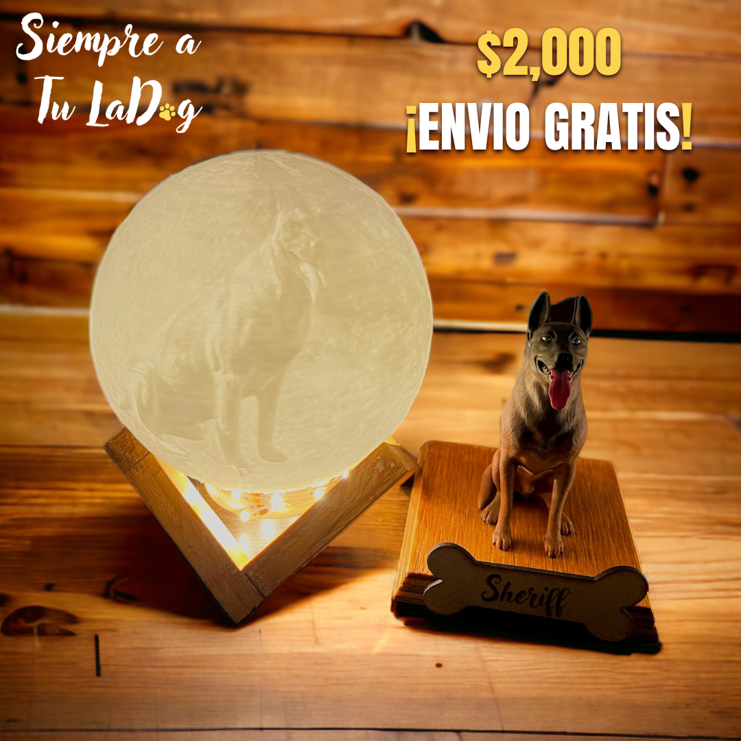 réplcia de Malinois con lampara lunar