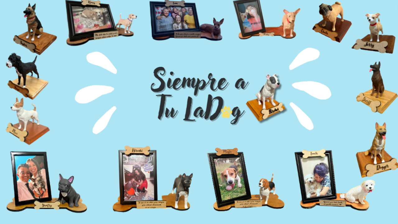 Cargar video: Replicas de Mascotas Personalizadas